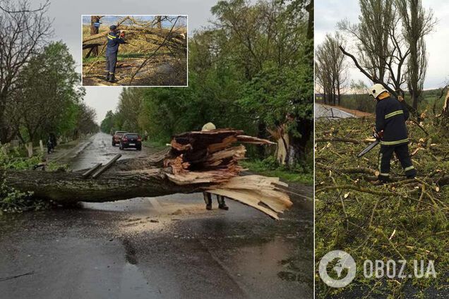 На Закарпатті розбушувався ураган: вітер позривав дахи, у горах випав сніг. Фото й відео