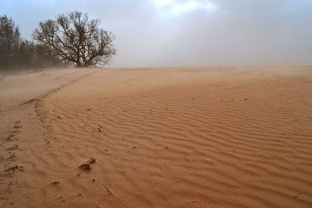 Пилові бурі перетворюють поля України на пустелю: синоптик пояснив, хто винен