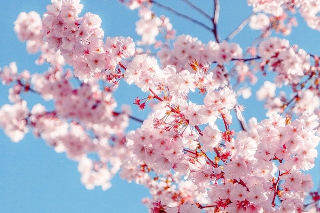 День труда 2020: что Украина отмечает 1 Мая