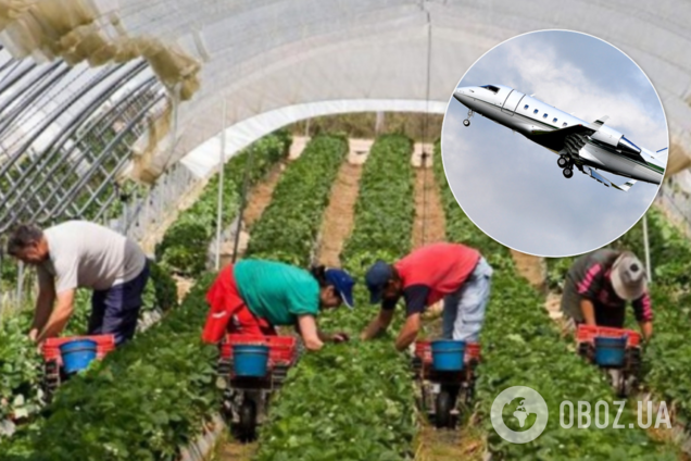 В Польше задумали отправить чартеры за заробитчанами из Украины