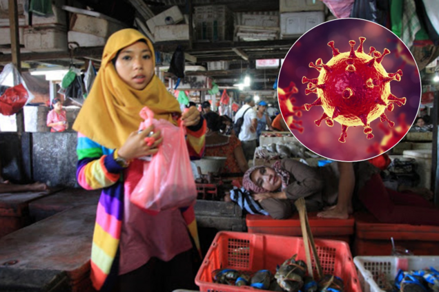 Гірше, ніж в Китаї? В Індонезії знайшовся секретний ринок з кажанами. Фото 18+