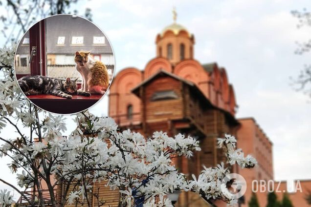 У Києві на травневі свята буде тепло, але підуть дощі із грозами