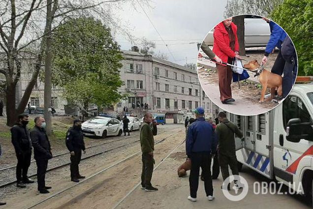 Рваные раны на животе, разодрана нога: в Днепре бойцовский пес напал на ребенка и полицейского