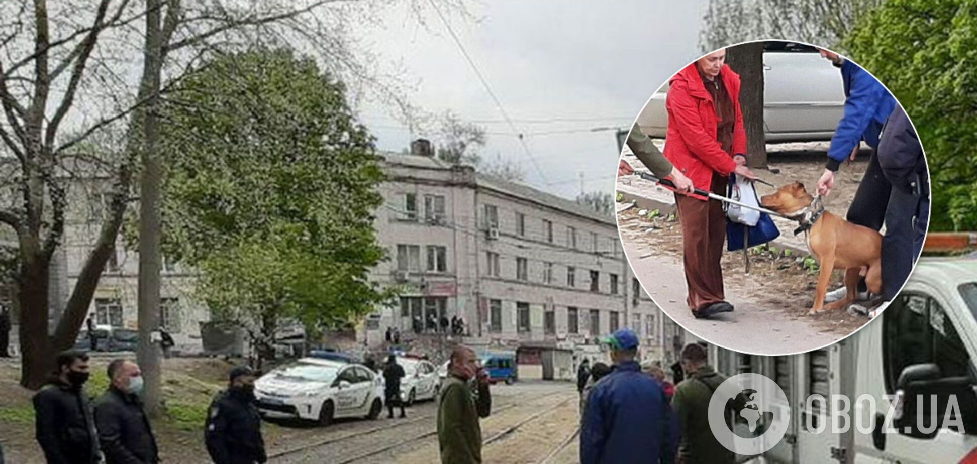 Рваные раны на животе, разодрана нога: в Днепре бойцовский пес напал на ребенка и полицейского