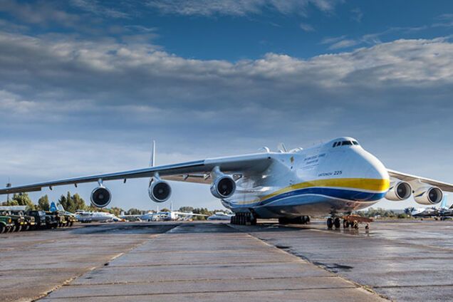 Тимошенко и Баум устроили контрабанду на эпидемии