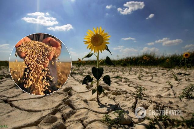 На Україну чекає 10 років посух і ураганів: продукти серйозно здорожчають, води не буде вистачати. Ексклюзив