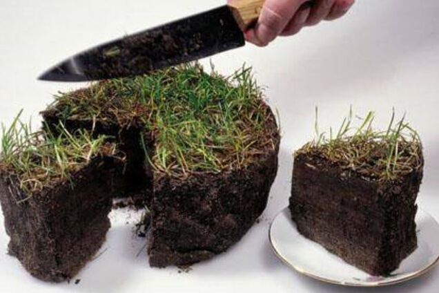 Продали Украину по 1,66 доллара за метр: журналистка разгромила закон о земле