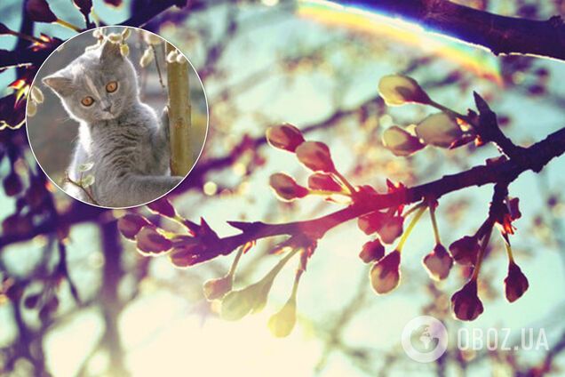 В Україну йде різке потепління до +21: синоптикиня дала прогноз на вихідні і початок тижня