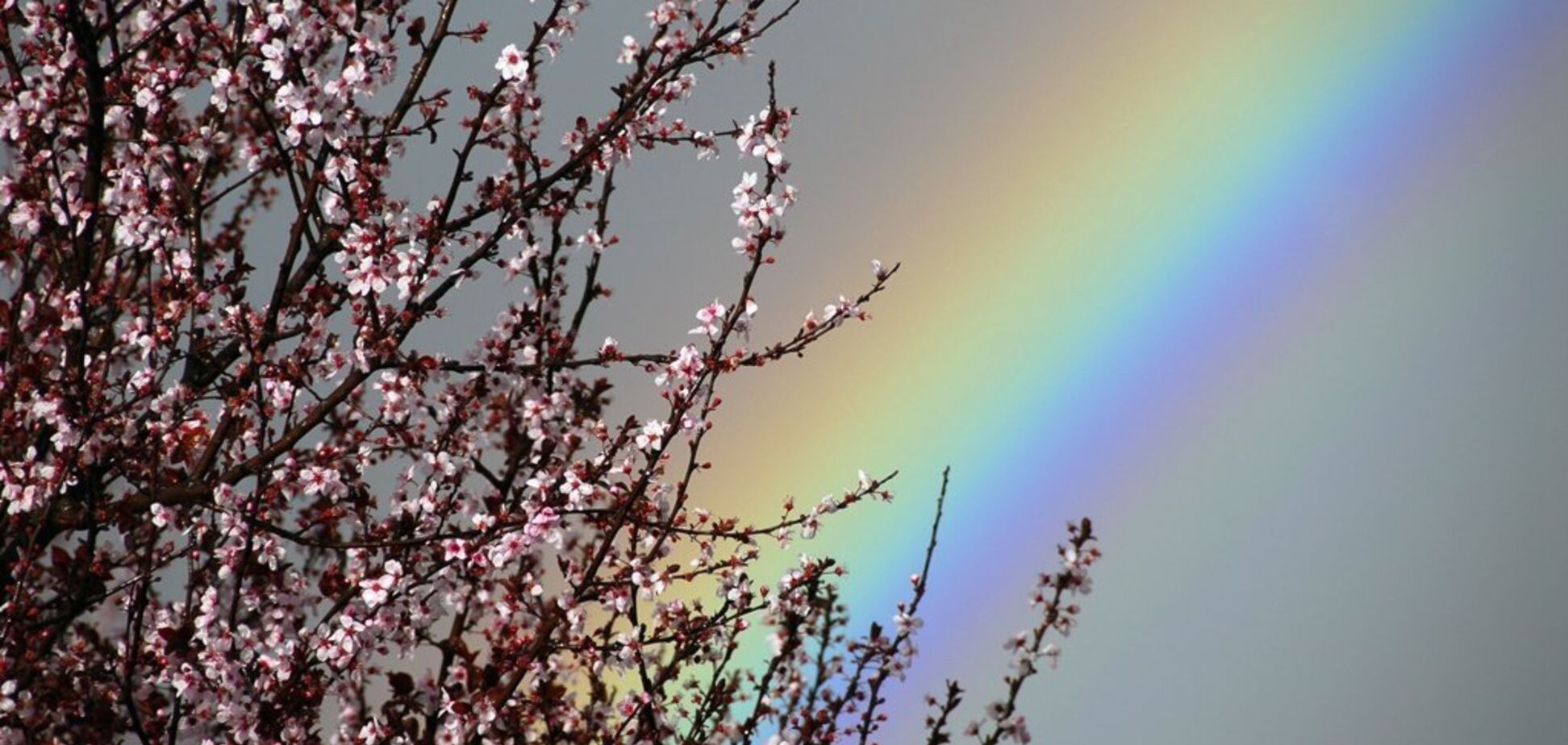 Прогріє до +15: синоптики потішили теплим прогнозом в Дніпрі