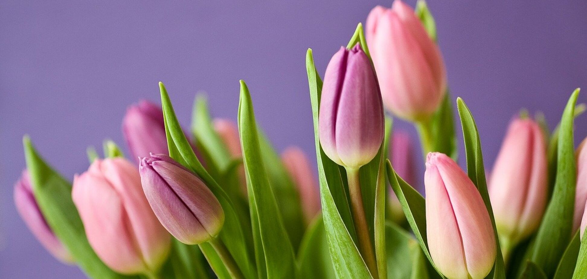 День ангела Марії: гарні вірші, відео та картинки з привітаннями