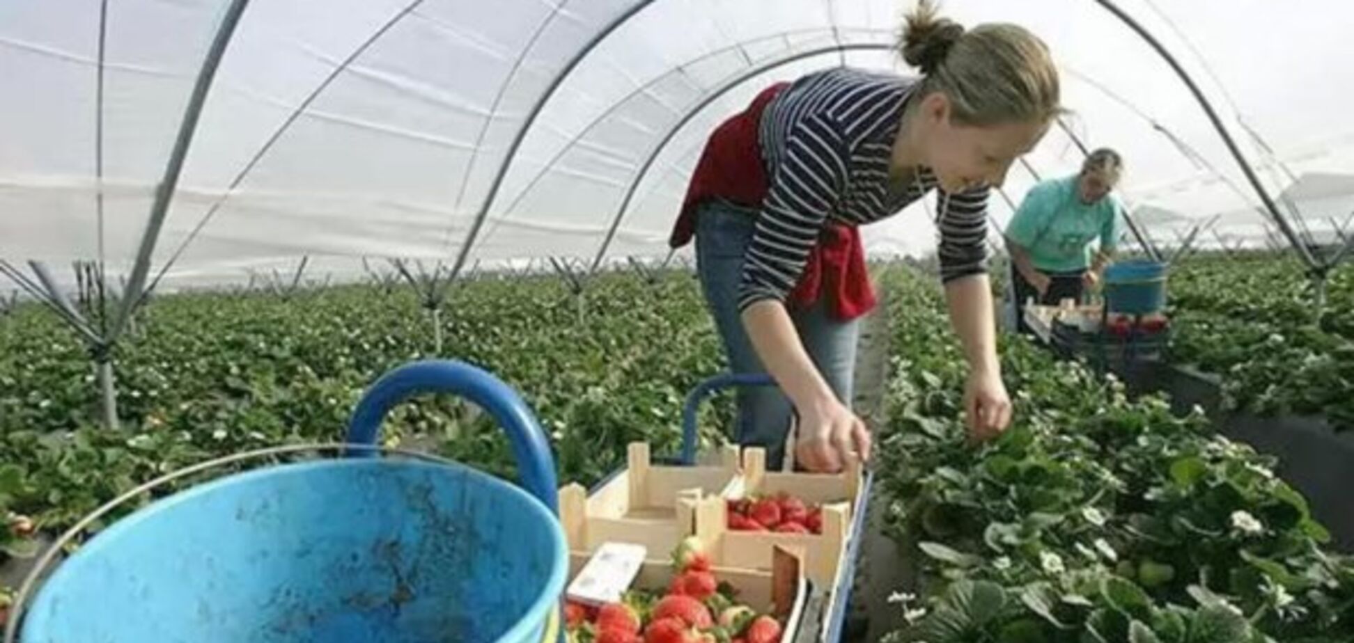 Досить шастать по закордонах