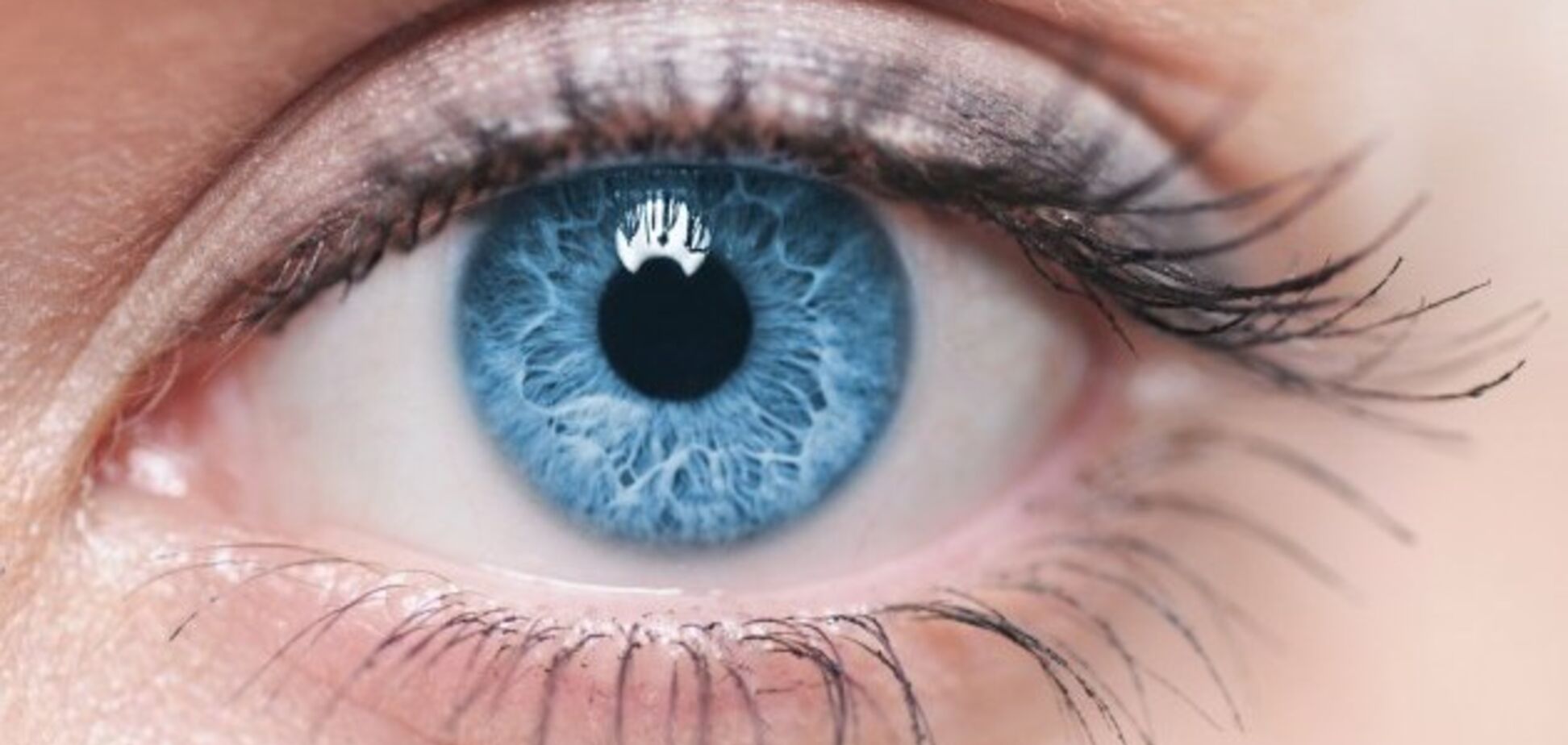 Зір та око: цікаві факти. Шпаргалка для уроку з біології