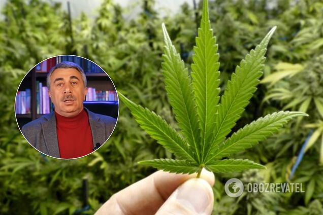 Комаровский рассказал, лечит ли марихуана коронавирус