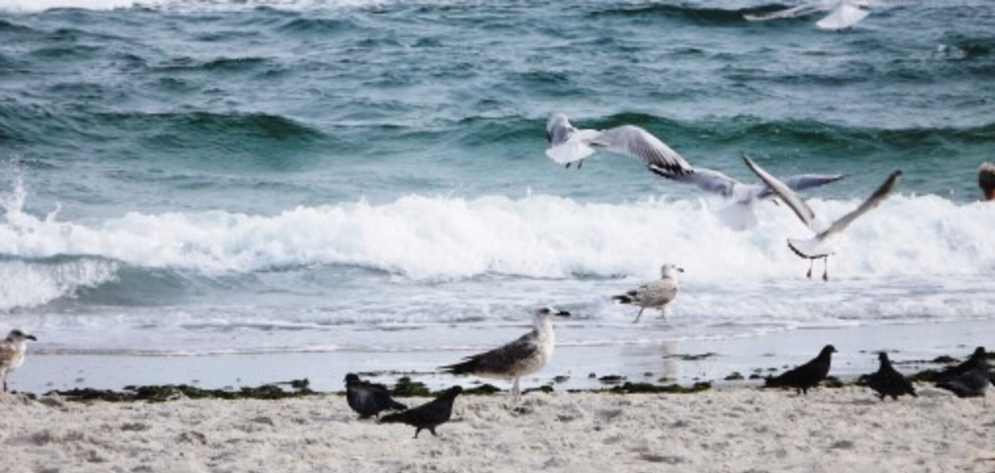 Погода в Одессе