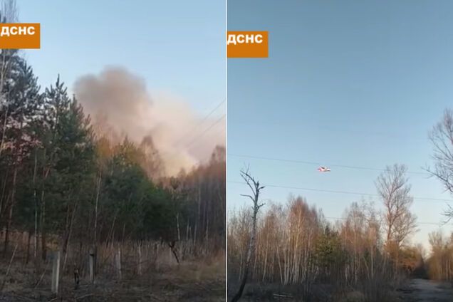 У Чорнобильській зоні рятувальники третю добу гасять масштабну пожежу. Відео
