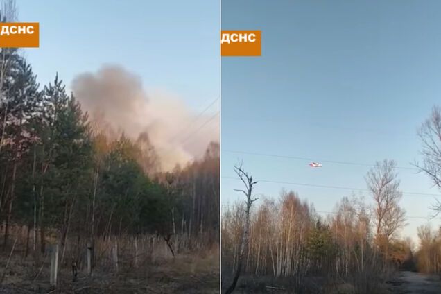 В Чернобыльской зоне спасатели третьи сутки тушат масштабный пожар