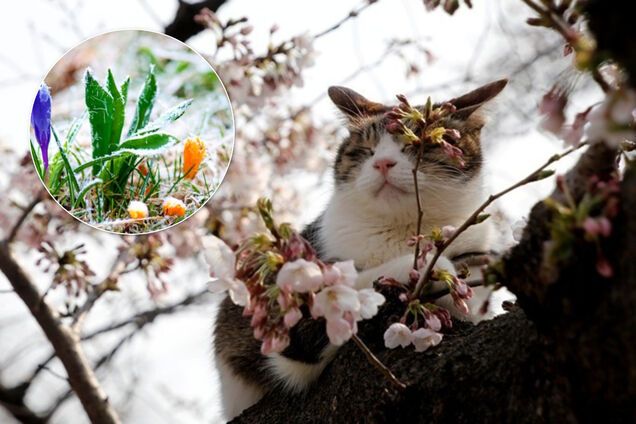 Синоптик дав неоднозначний прогноз погоди до кінця тижня по Україні