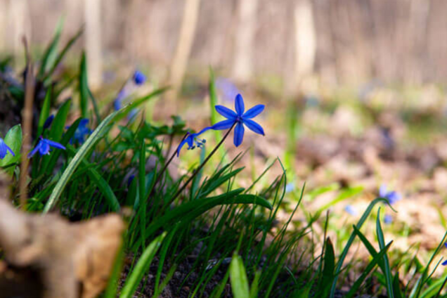 Погода в Украине на Благовещенье