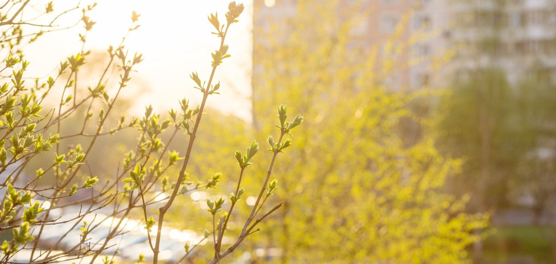 Тепло і сонячно: синоптики дали свіжий прогноз погоди в Дніпрі