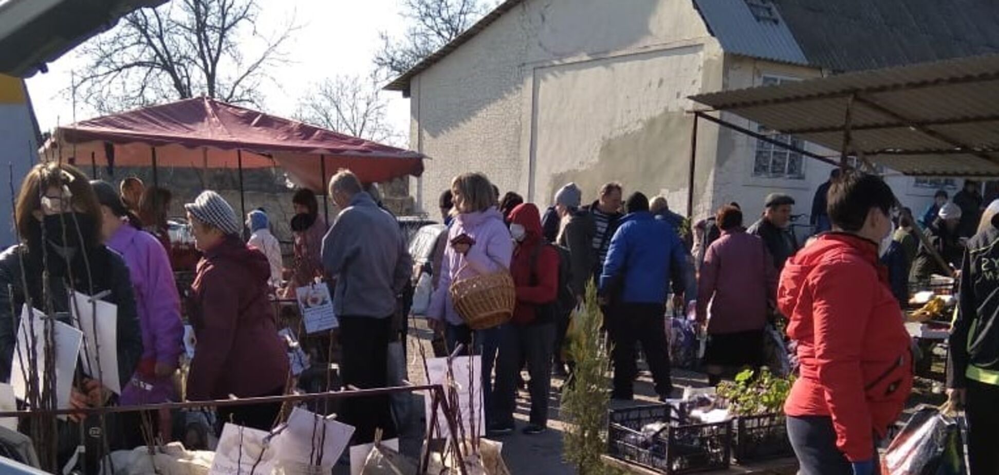 COVID-19 в 'ДНР': мы летим в пропасть