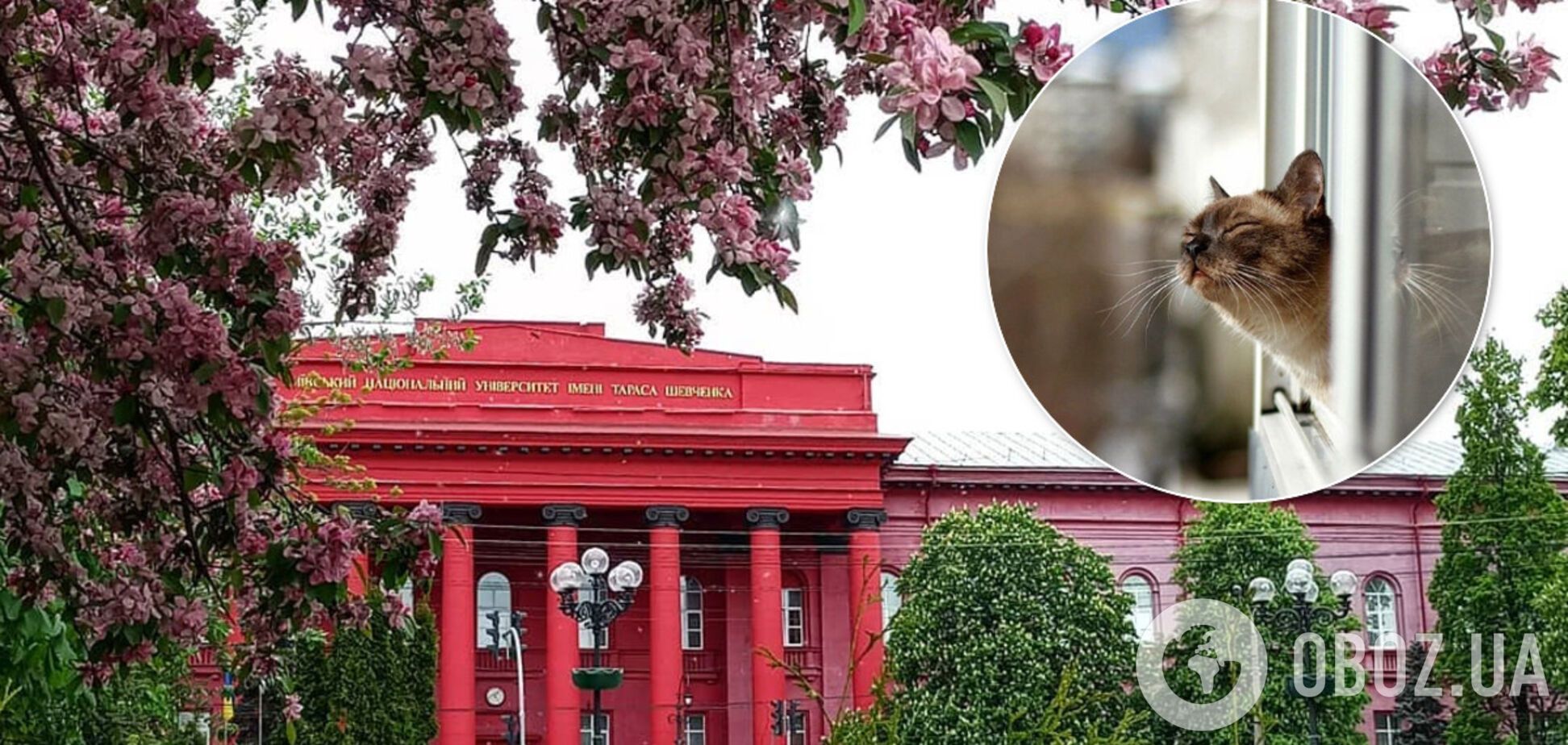 В Киеве будет теплая и солнечная погода. Иллюстрация