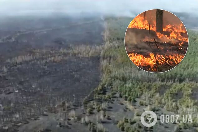 Обожженную огнем Чернобыльскую зону показали на видео