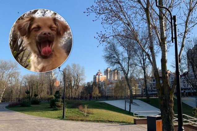 карантин украина