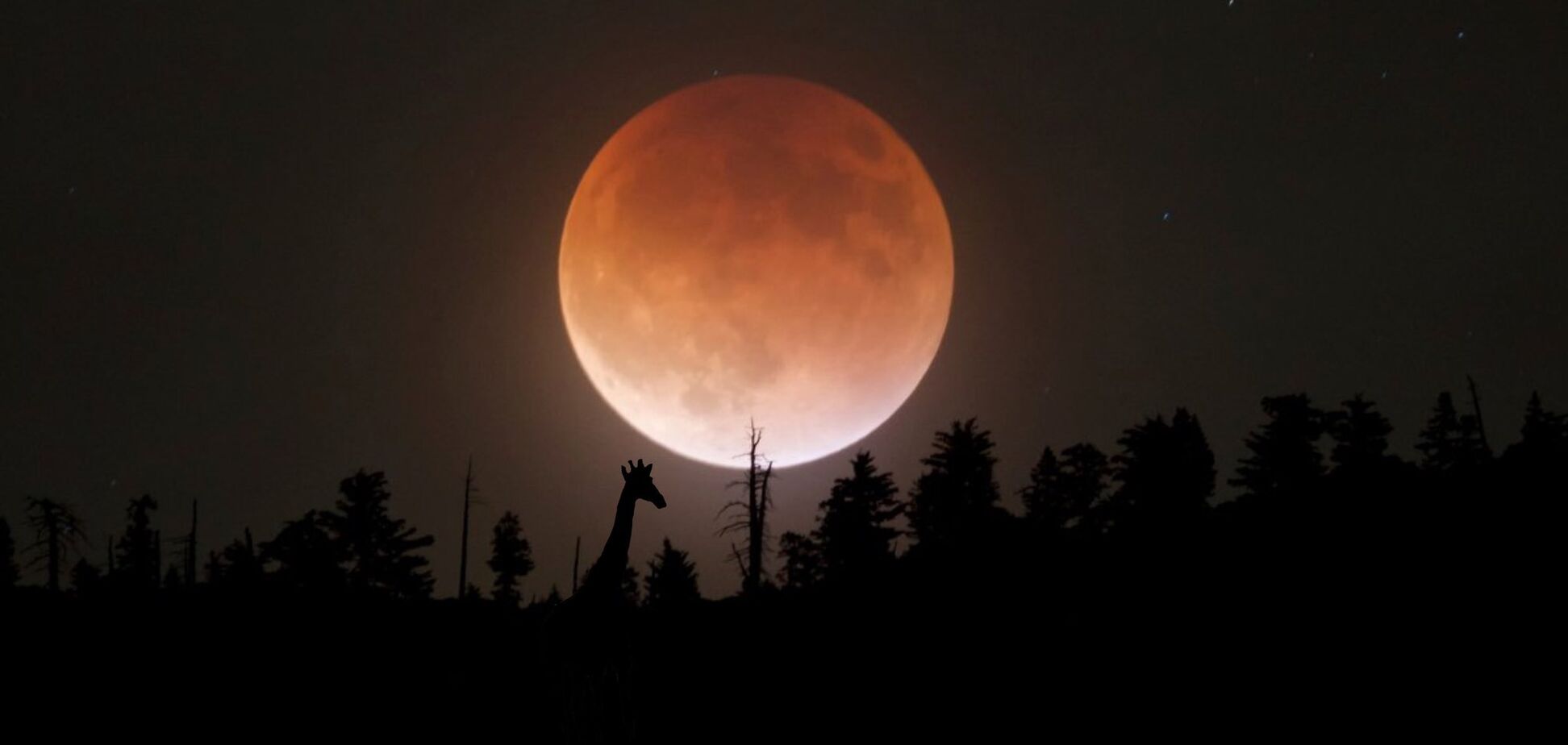 Суперлуна-2020: сеть заполнили фото и видео редкого явления