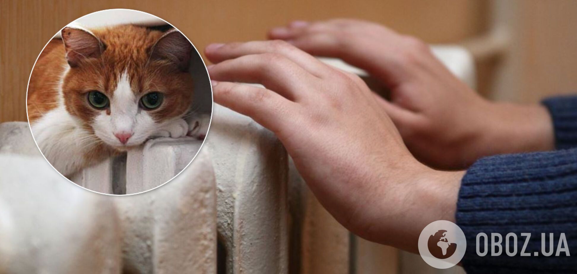 Киевляне сэкономили на отоплении 1,5 млрд: в КГГА назвали сумму и причину