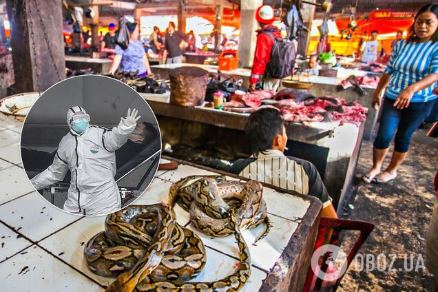 Коронавирус – не последняя пандемия: ученые дали пугающий прогноз человечеству