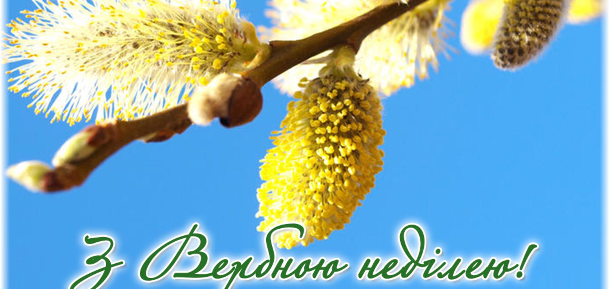 Вербное воскресенье 2020: лучшие поздравления, видео и открытки