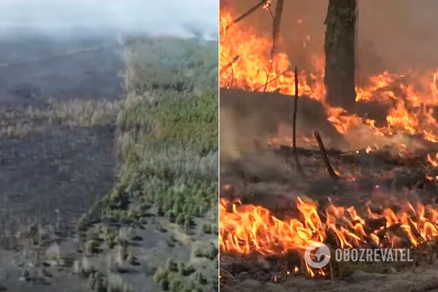 У Чорнобильській зоні пожежа спалахнула з новою силою