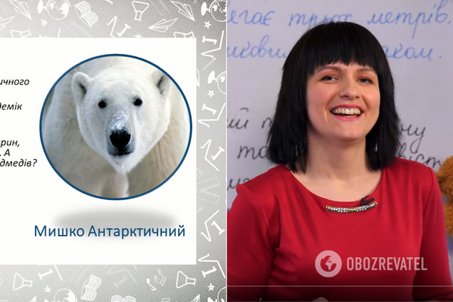 В эфире ''Всеукраинской школы онлайн'' белого медведя ''переселили'' в Антарктиду. Курьезное видео