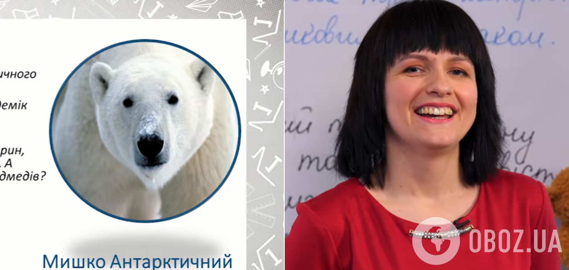 В эфире 'Всеукраинской школы онлайн' белого медведя 'переселили' в Антарктиду. Курьезное видео