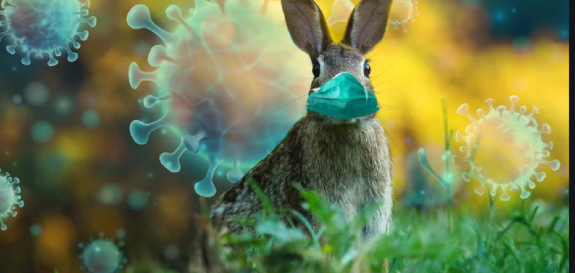 Что разрушает геном вирусов