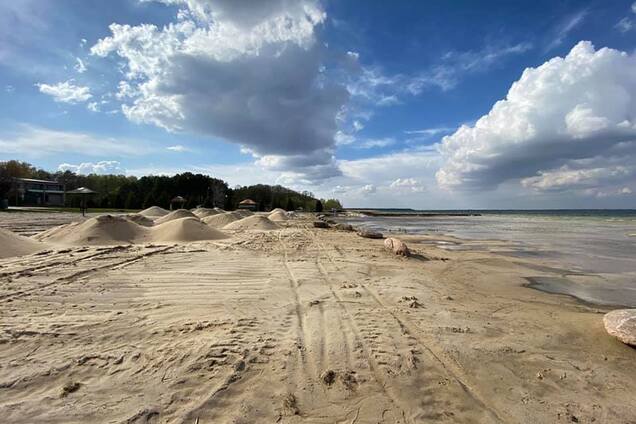 Массово засохнет лес и исчезнут малые реки: экологи забили тревогу из-за аномалий в Украине