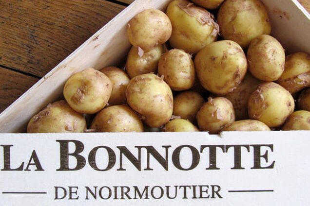 500 євро за кілограм: кілька невідомих фактів про картоплю