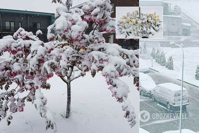 Європу завалило снігом: циклон рухається до України. Фото, відео і карти