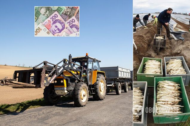 Украинцы пашут в Европе по 12 часов в грязи и за копейки: почему Запад загнется без заробитчан