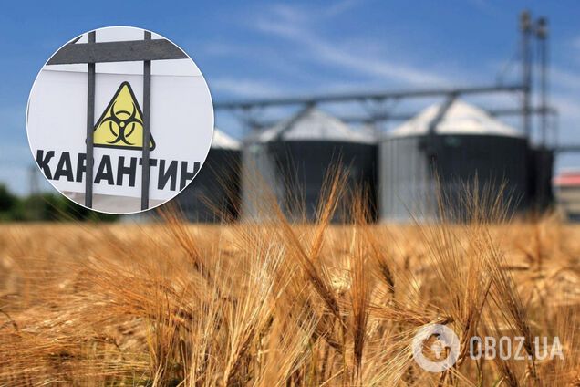 З України вивозять продовольство під час карантину: Шмигаль відповів депутату