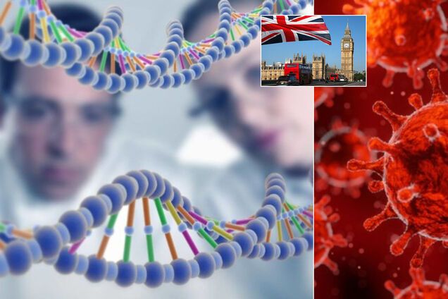 Генетика може впливати на тяжкість COVID-19: у Британії почали масштабне дослідження