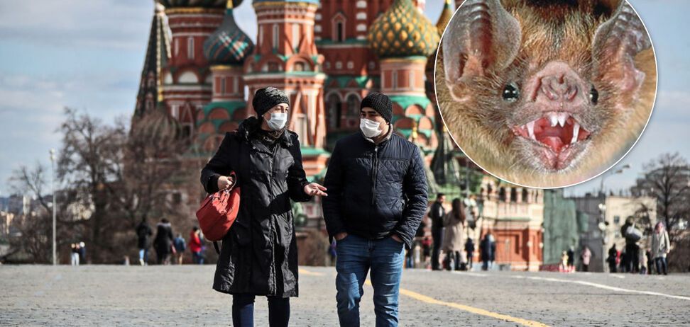 Китайская мышь лишила Кремль триумфа