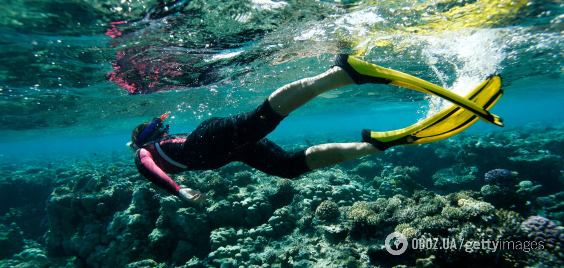 После карантина курорты заработают по-новому: озвучен прогноз