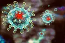 Спасибо коронавирусу, или Мир останется прежним