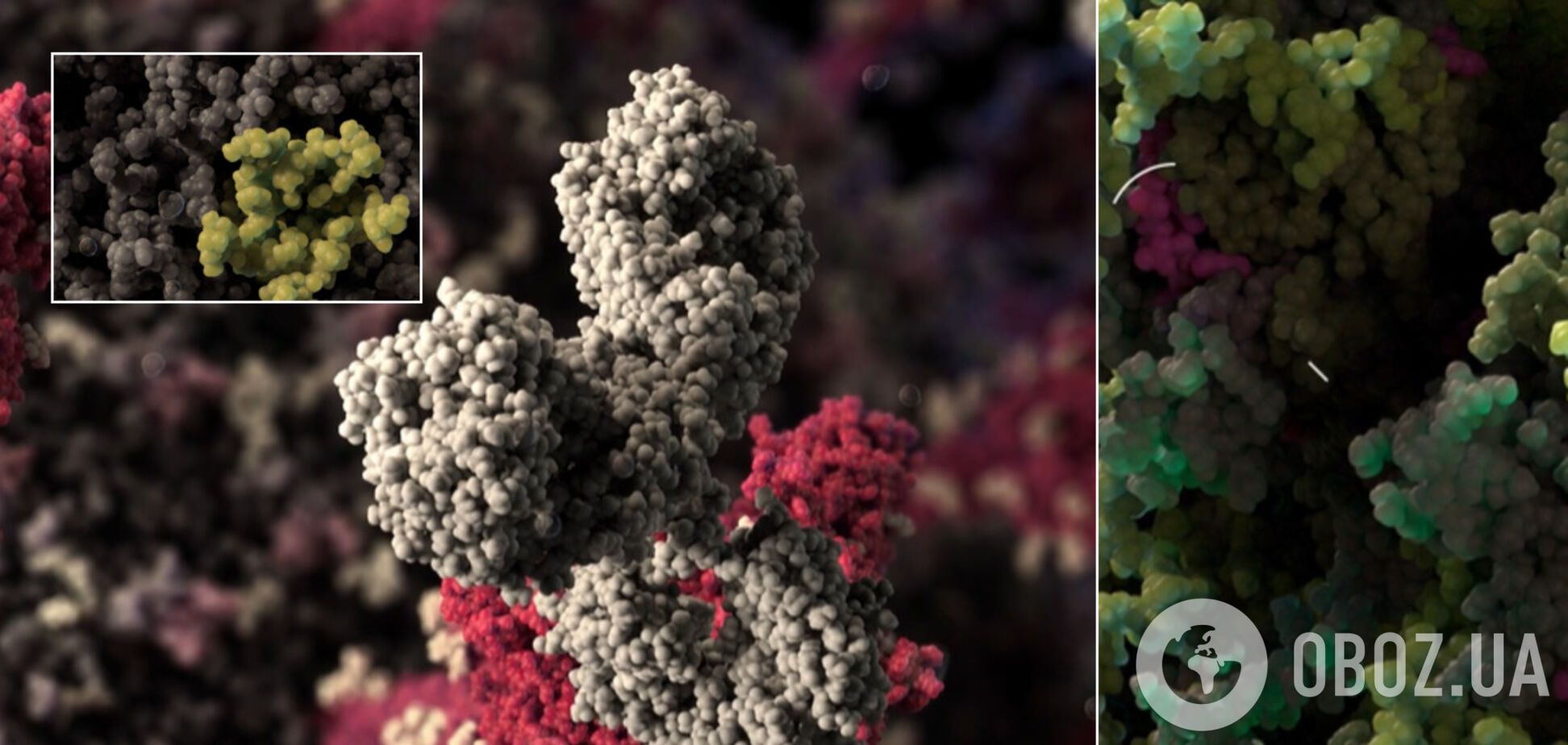 Ученые показали самую точную 3D-модель коронавируса: как выглядит