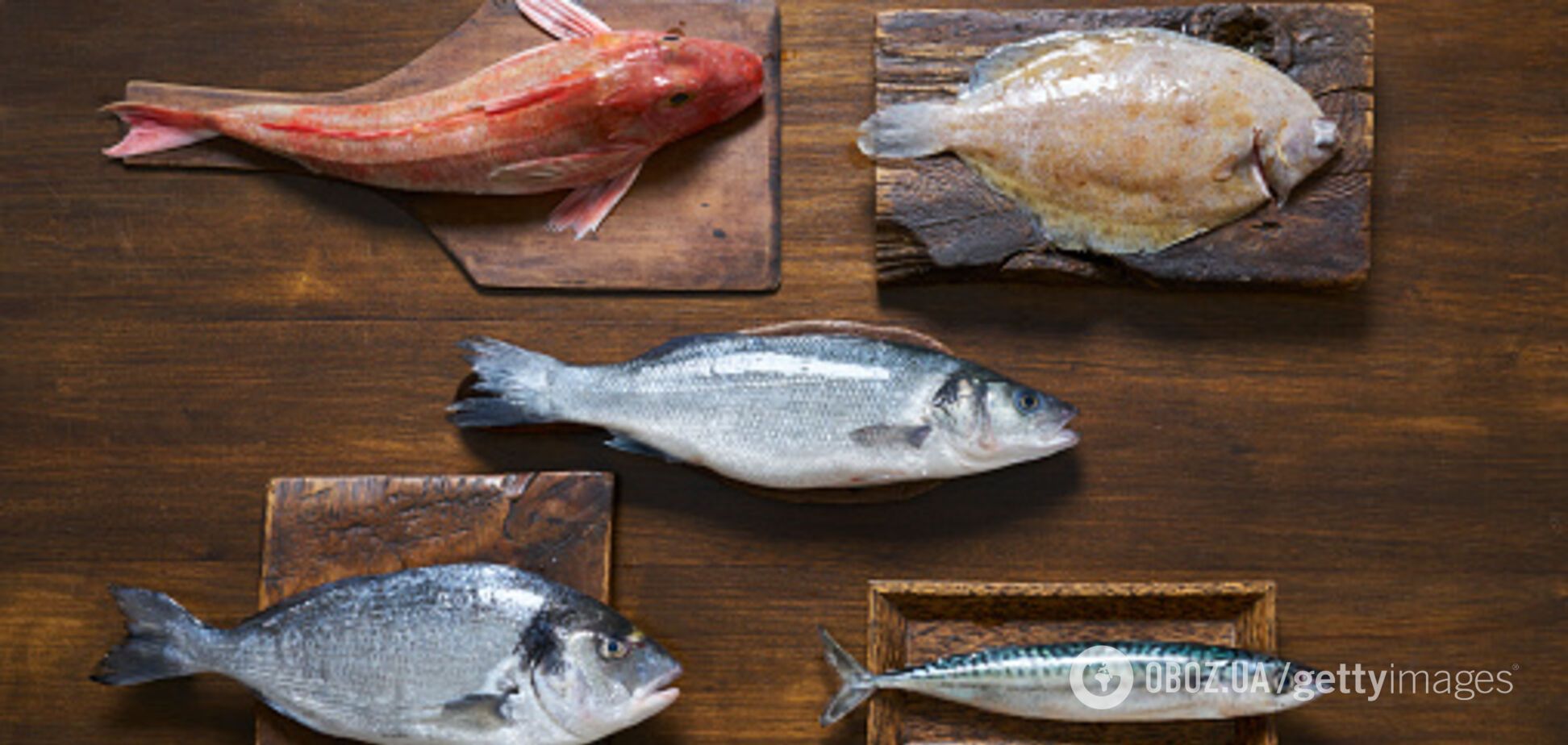Чи є COVID-19 у рибі: експерти озвучили вердикт