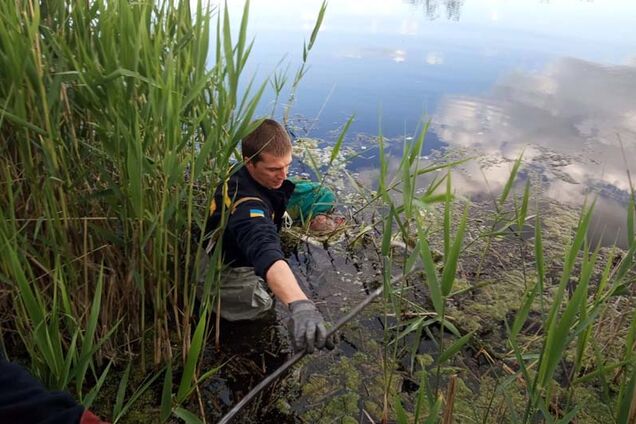 Под Днепром в водоеме нашли тело пропавшей женщины. Фото