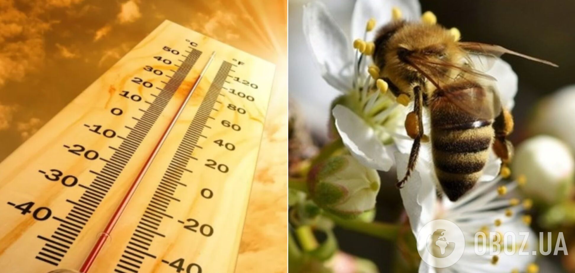 Погода влітку 2020: метеорологиня попередила про спеку і посуху