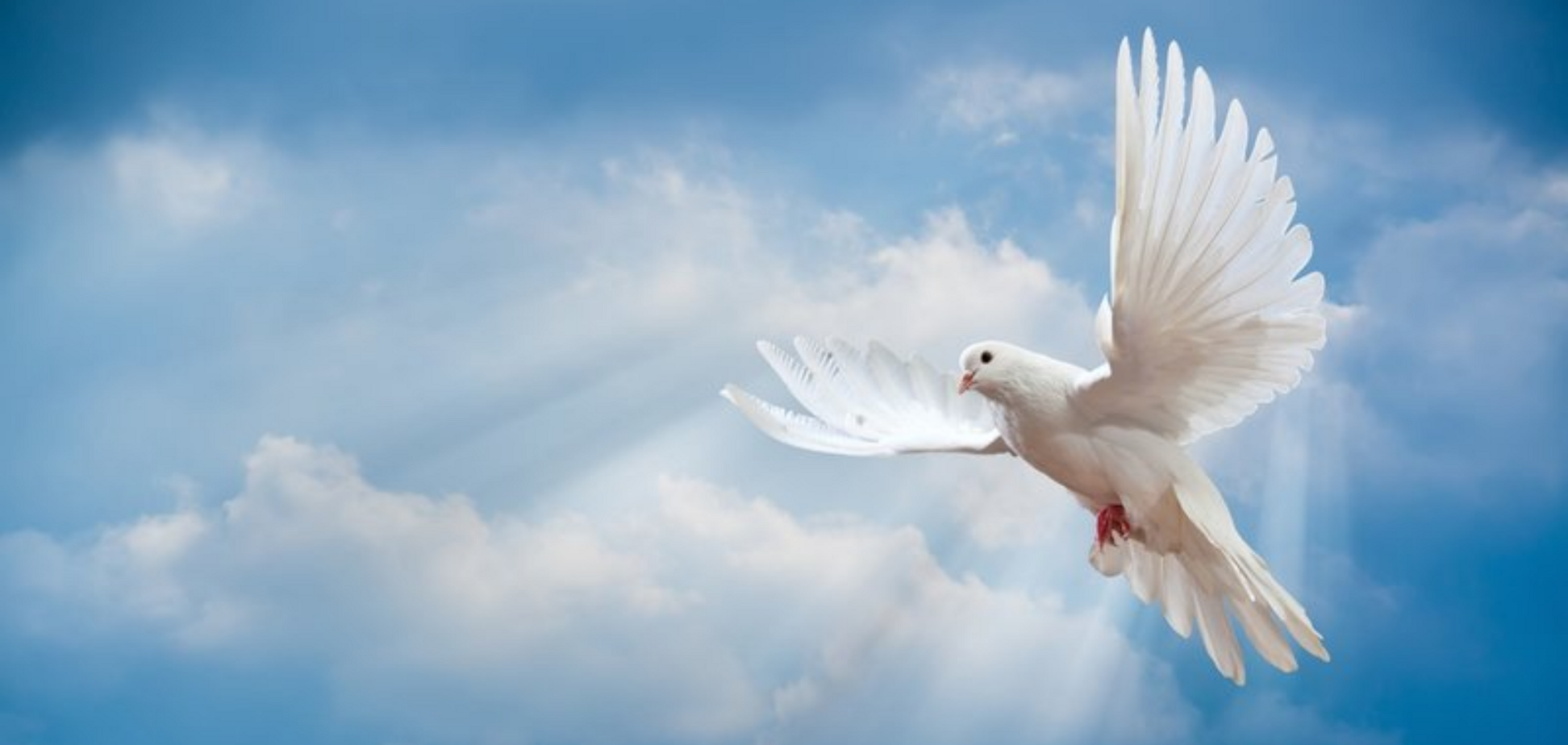 З Вознесінням! Гарні привітання, смс, вірші, проза, відео та листівки