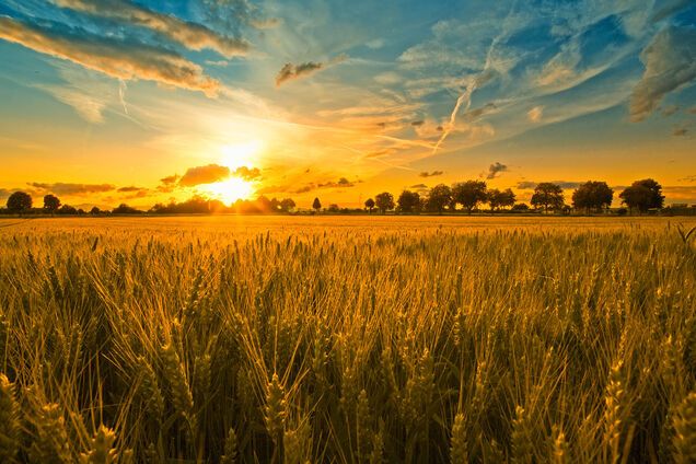 День Иоанна Богослова: что категорически нельзя делать 21 мая